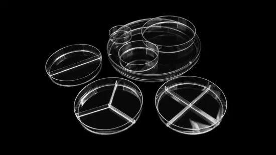 使い捨て可能な滅菌円形の透明なプラスチック PS 90X15mm 細胞培養ペトリ皿